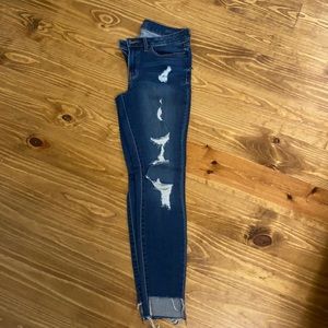 Ana Distressed Jegging